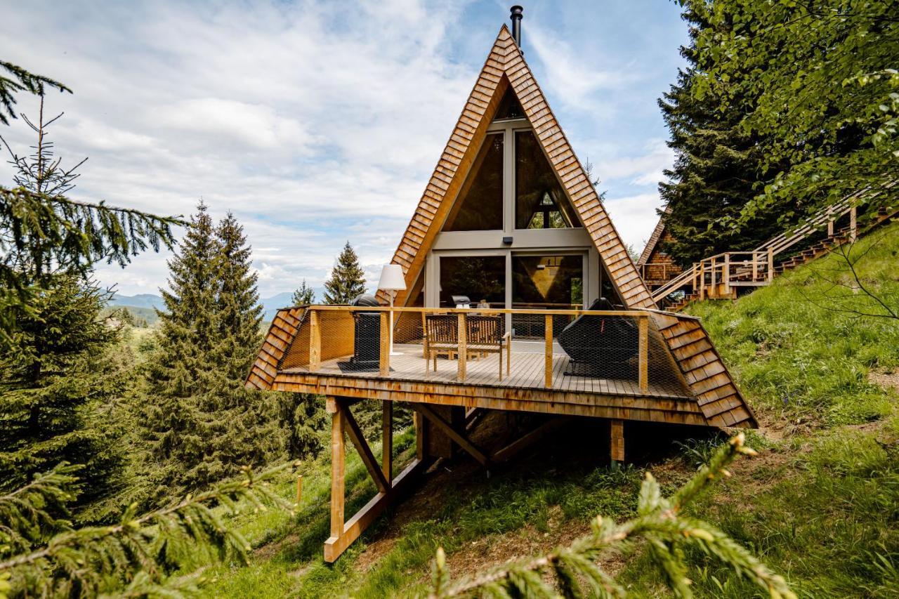 Strajerii Verzi Lodge Braşov